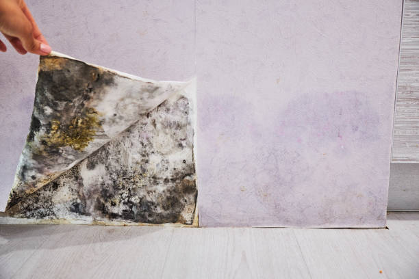 Water Damage Restoration in Eagle Lake, WI